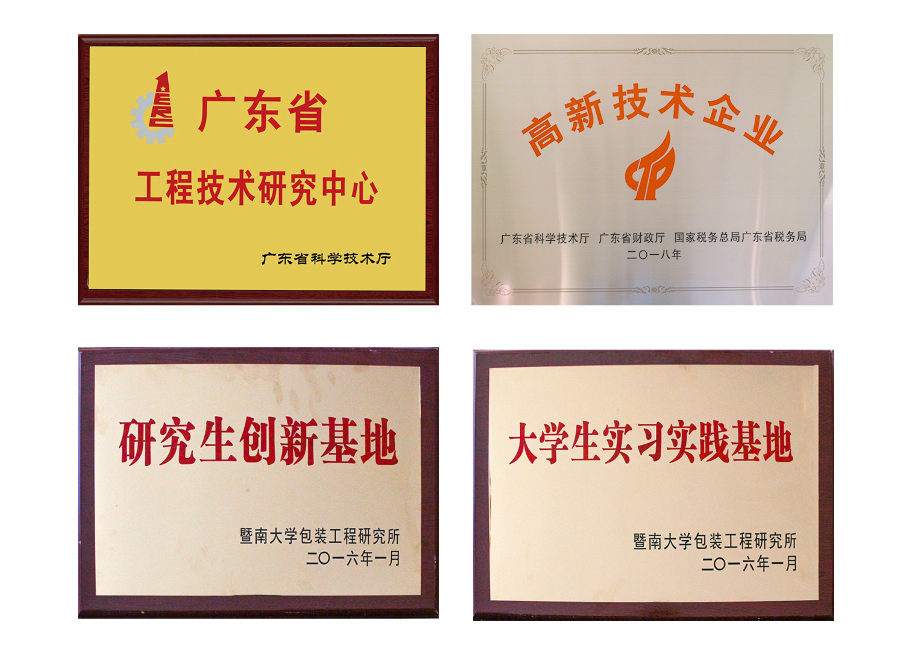 力嘉-集团荣誉