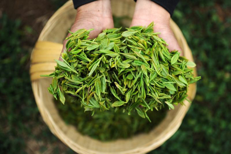 如何包装春茶？