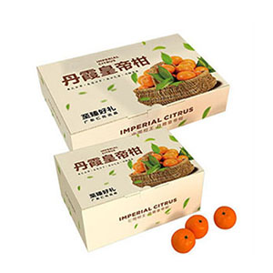 水果包装盒定制