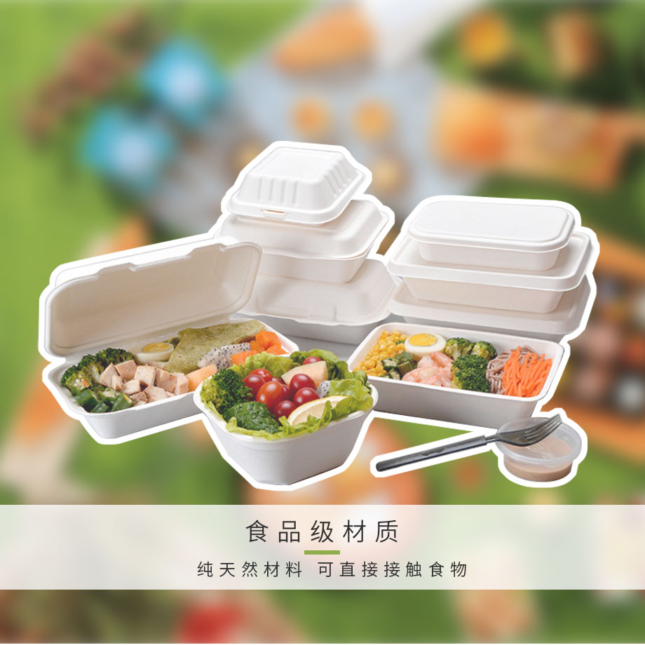 一次性饭盒包装盒